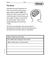 Science and Technology: The Brain