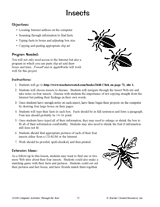 Insects on the Internet