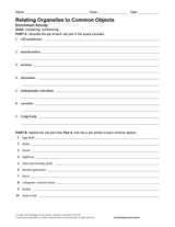 Science Activity: Relating Organelles to Common Objects